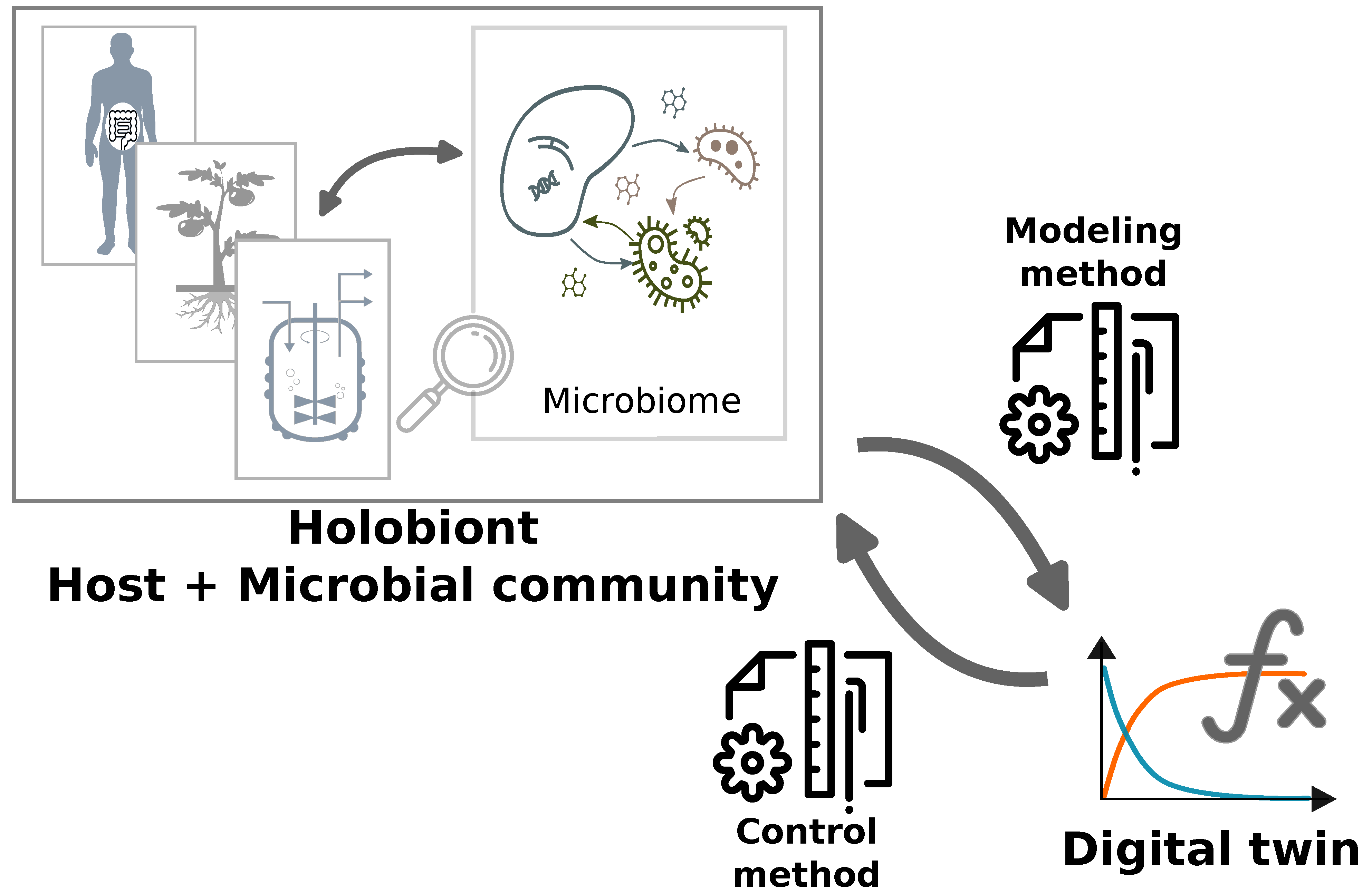 Schéma jumeaux numériques de systèmes microbiens © INRAE