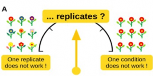 PEERSIM replication model